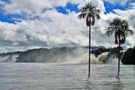 Chutes d'eau dans la lagune de Canaima