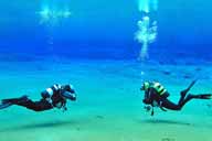 Plongée à Los Roques