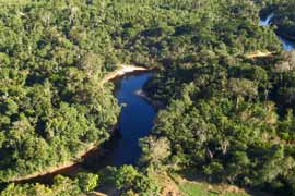 Fluss im Orinoco-Delta